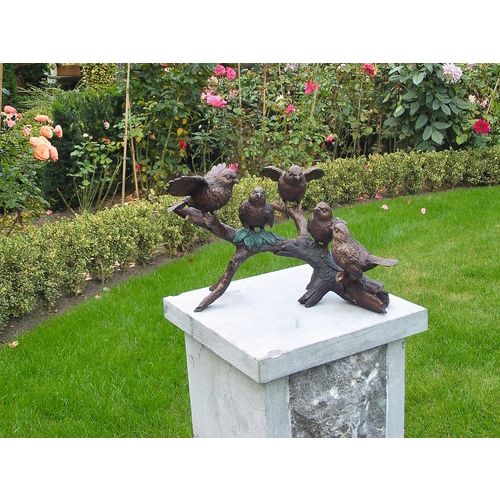 Vögel auf Ast
