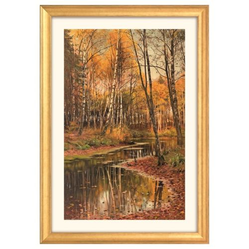 Mönsted: Bild "Birkenwald im Herbstlicht