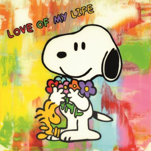 Produktbild zum Produkt 'Pfannschmidt: Bild "LOVE OF MY LIFE - FLOWERS" (2025)'