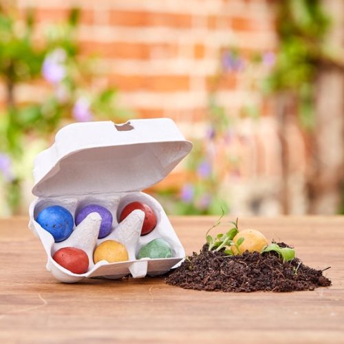 Bunte Ostblumen im Eierkarton